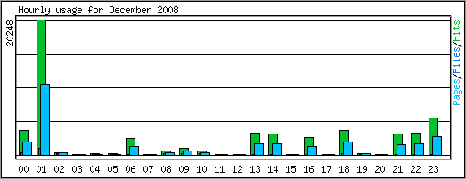Hourly usage