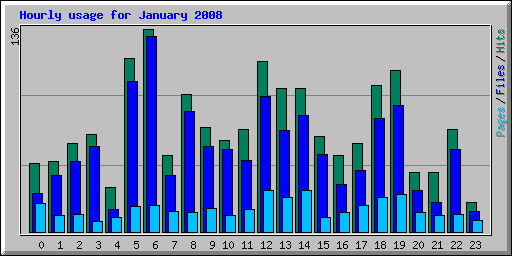 Hourly usage for January 2008