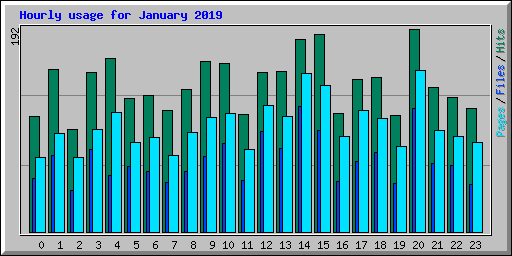 Hourly usage for January 2019
