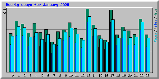 Hourly usage for January 2020