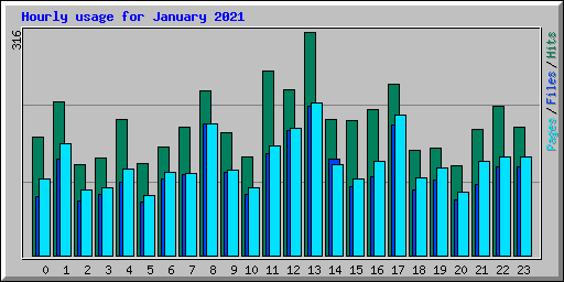 Hourly usage for January 2021